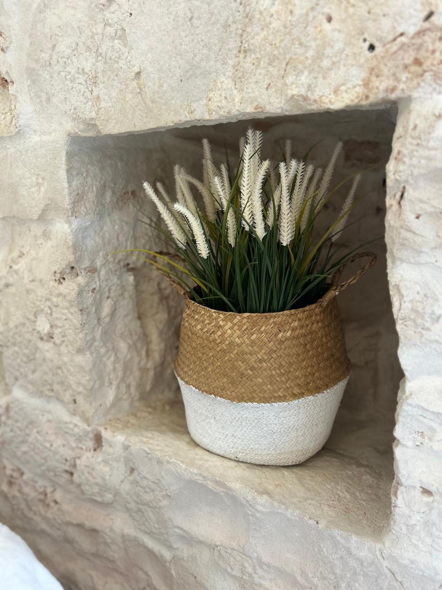Trulli In Contrada - Monopoli Guest House Exterior foto