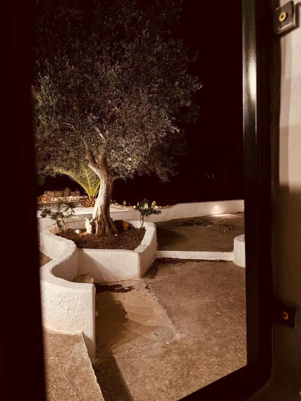 Trulli In Contrada - Monopoli Guest House Exterior foto
