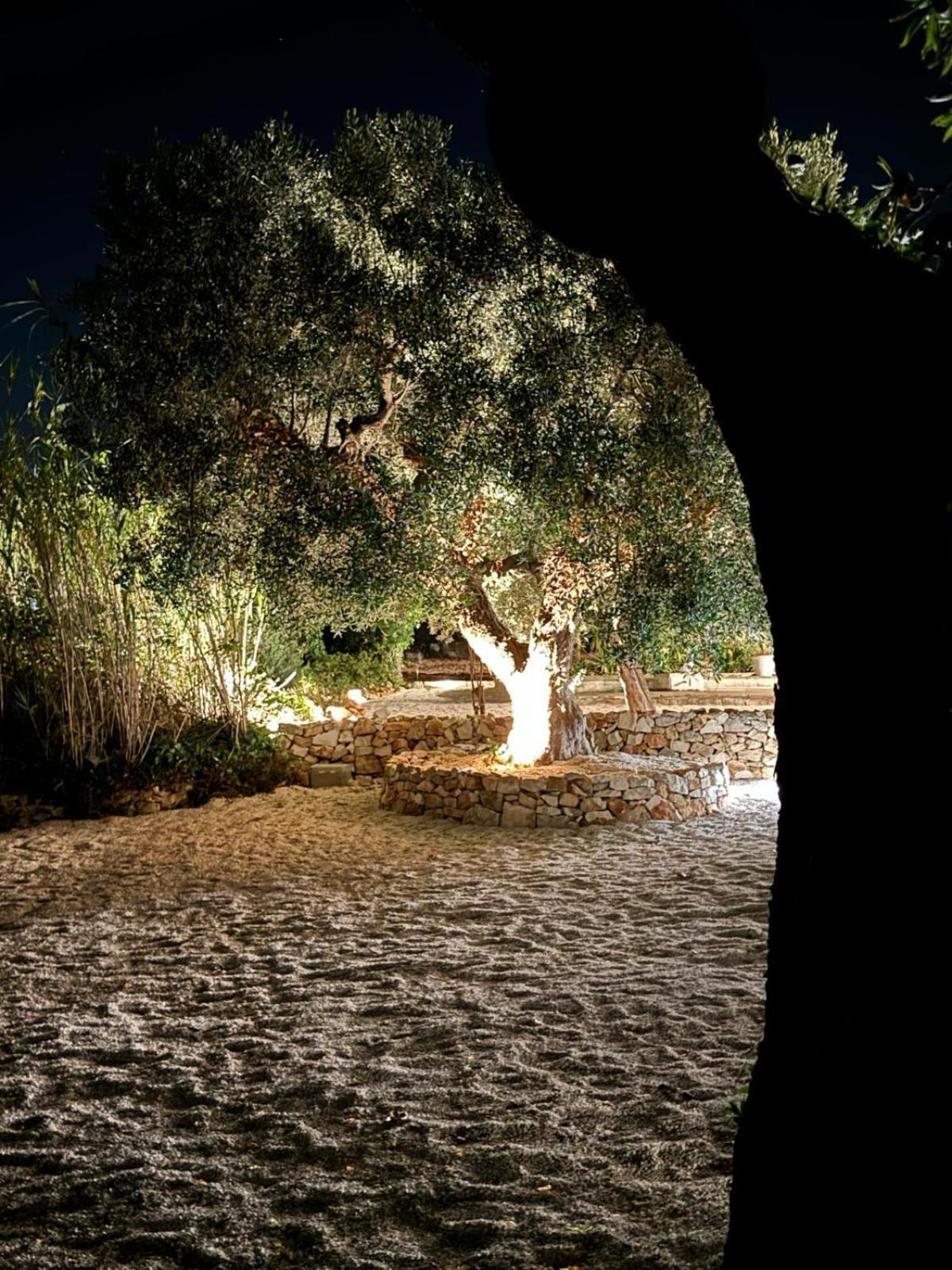 Trulli In Contrada - Monopoli Guest House Exterior foto